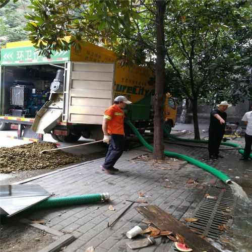 【环保吸粪车,环保吸粪车供应商】- 